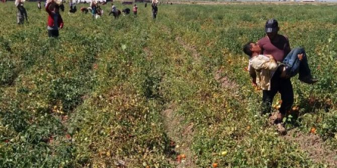 Sıcaklar Tarım İşçisini Bayılttı