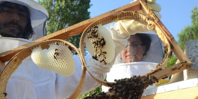 Hobi Olarak Başladıkları İşten Para Kazanacaklar