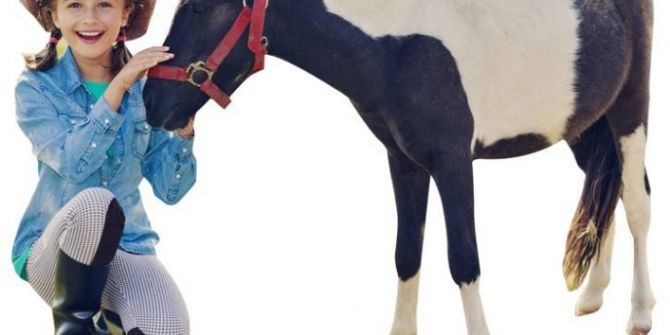 Sevimli Midilliler Minikleri Piazza’da Bekliyor