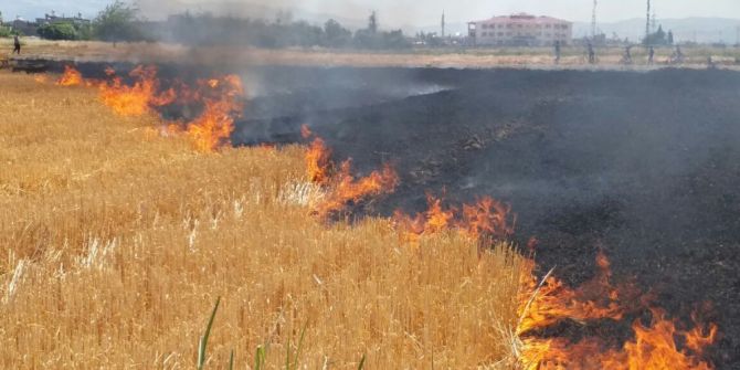 20 Bin Çiftçiye "Anız Yakmayın" Mektubu