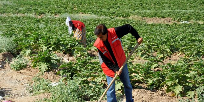 Kayyumun Tahsis Ettiği Tarlalarla Hayatlarını İdame Ettiriyorlar