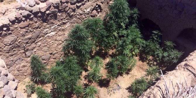 Karaman’da Jandarmadan Kenevir Operasyonu