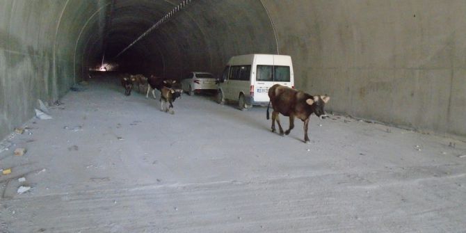 Ovit’teki Çığ Tüneli’ni İlk Onlar Kullandı
