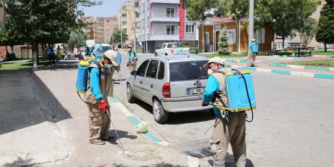 Haliliye’de İlaçlama Çalışmaları Aralıksız Sürüyor