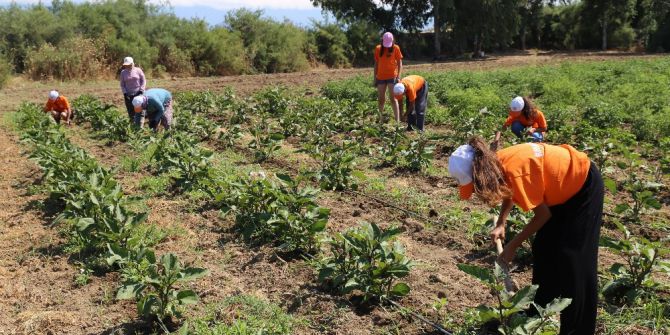 3. Tarım Kampı Başladı