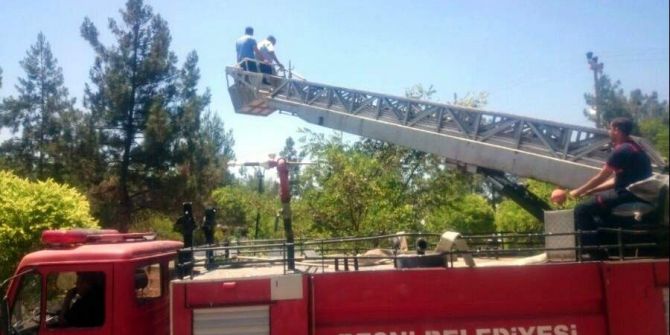 Ağaçta Mahsur Kalan Papağanı İtfaiye Kurtardı