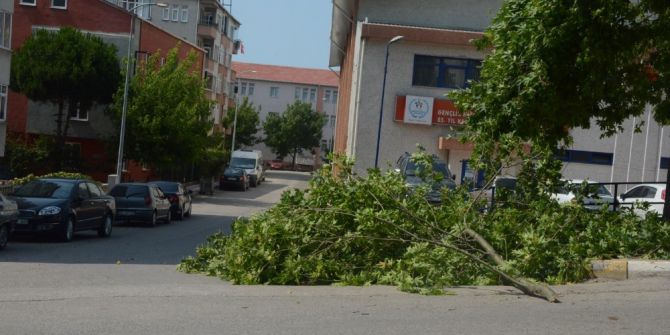 Sinop’ta Şiddetli Rüzgar Hasara Neden Oldu