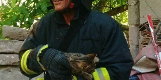 Kuyuya Düşen Kediyi İtfaiye Ekipleri Kurtardı