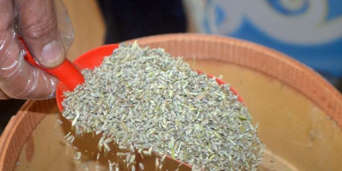 Vatandaşlar Sivrisineklere Karşı Çözümü Lavantada Buldu