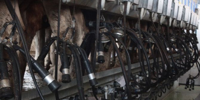 Sıcaklarda, Soğuk Zinciri Bozulmuş Süte Dikkat