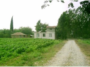 Osmaniye Kesmeburun Köyü