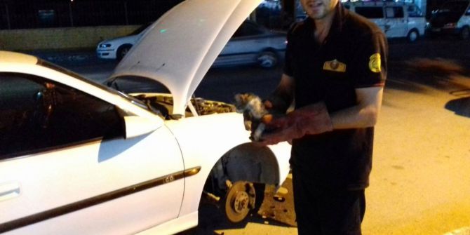 Otomobilin Motor Bölümüne Sıkışan Kedi, 2 Saatte Kurtarıldı