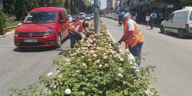 Herkes Denizde, Onlar Kavurucu Sıcakta Mesaide