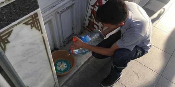 Sokak Hayvanları İçin Seferber Oldular