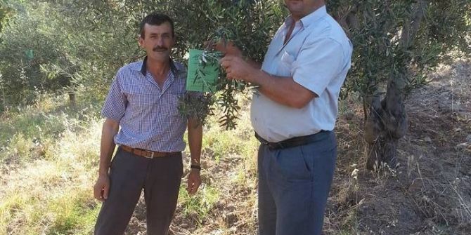 Kırtık’ Da Organik Ürün Sayısı Artıyor