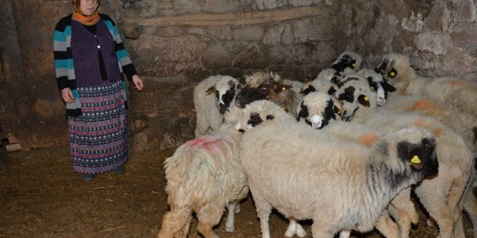 Genç Çiftçi Projesi’ne Kadın Eli