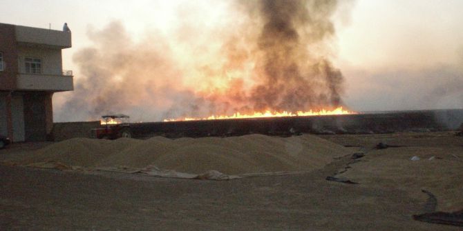 Yakılan Anız Doğal Hayatı Tehdit Ediyor
