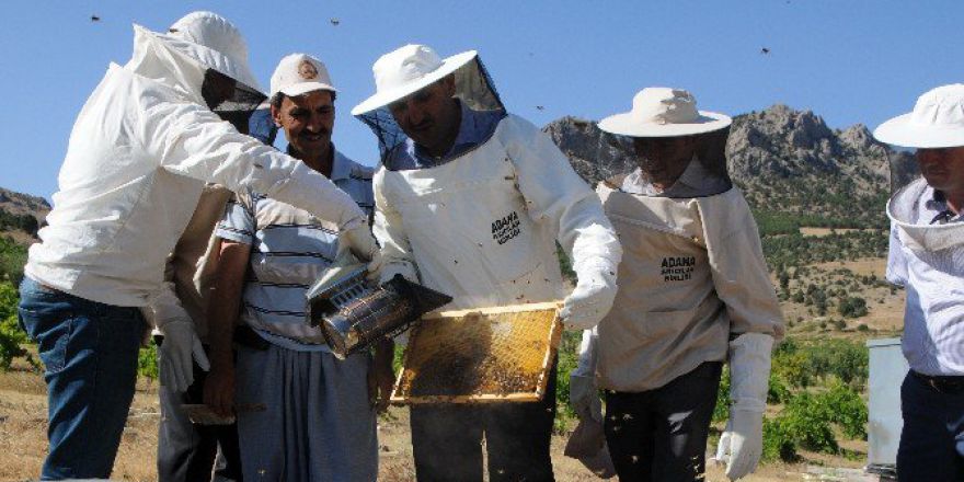 Adana’da 9 Bin 700 Ton Bal Rekoltesi Bekleniyor