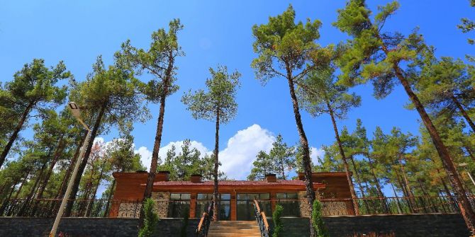 Çal Mesireliği Tamamlandı