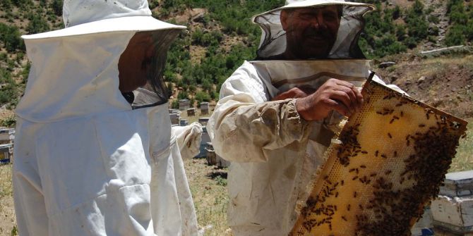 Dünya Birincisi Bitlis Balı Organik Üretilecek