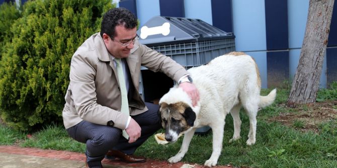 Sokak Hayvanları Atakum’da Güvende