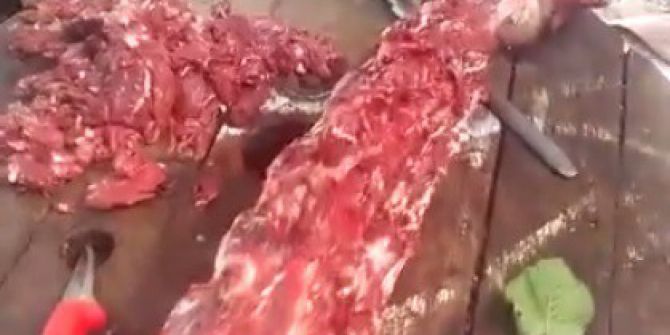 İzmir’de 500 Kilogram At Eti Ele Geçirildi