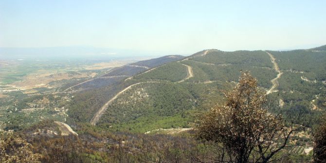 Korucu: "Denizli’deki Orman Yangının Sebebi Kaza Ve Doğal Afet Değil"