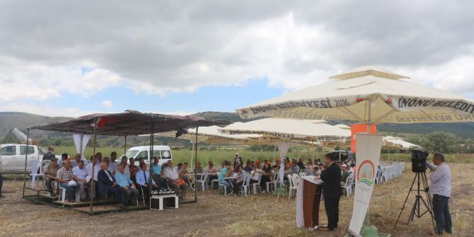 İnönü’de 4’üncü Geleneksel Tarla Günü Programı