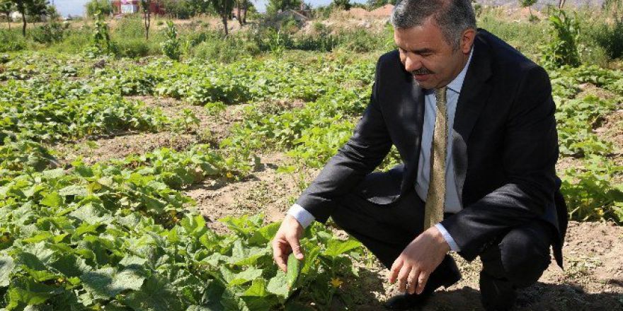 Organik Bahçe’nin Temeli Atılıyor
