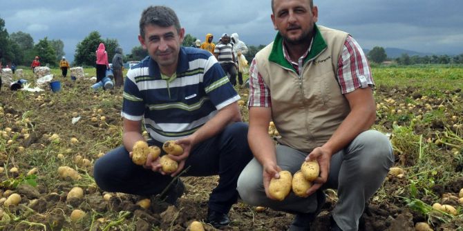 Patates Üreticisinin Yüzü Gülüyor