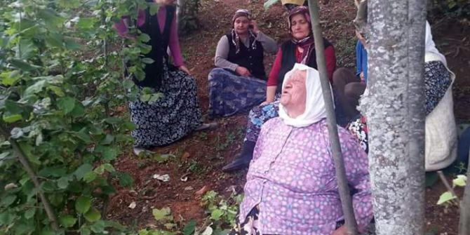 Ağaçtan Düşen Kadın Öldü