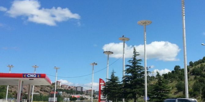 Sağlık Kontrolünden Geçen Leylekler Takibe Alındı