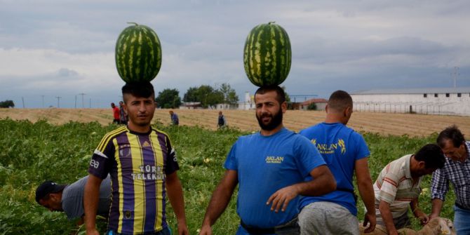 Karacabey’de Karpuz Hasadı Başladı