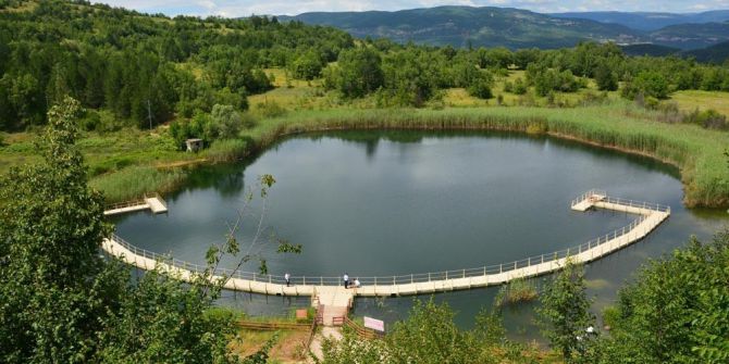 Karagöl’e 30 Bin Yavru Sazan Balığı Bırakıldı