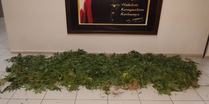 İzmir’de Uyuşturucu Operasyonu: 2 Gözaltı