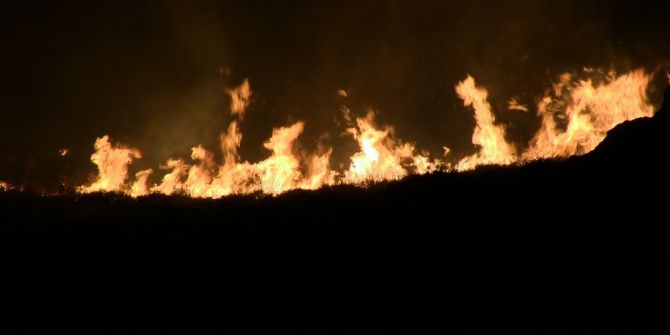 Bodrum Alevler Teslim Oldu: 20 Hektarlık Sit Alanı Kül Oldu