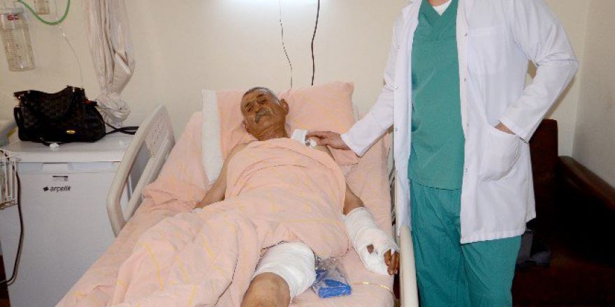 Sarıkamış’ta Ayı Saldırısı