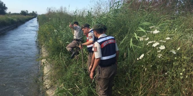 Kanalboyunda Uyuşturucu Operasyonu