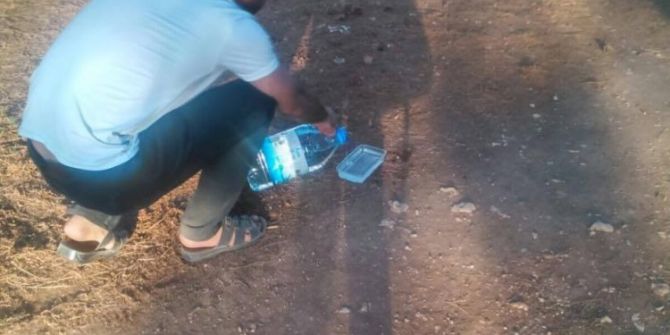 Gaziantep Ülkü Ocaklarından Sokak Hayvanlarına Şefkat Eli