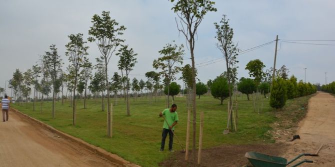 Dilovası’nda Yeşil Alanlar Bakımdan Geçti