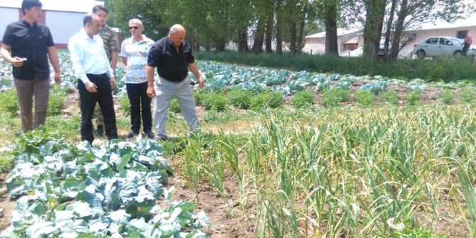 Pasinler’de Alternatif Ürün Sarımsak