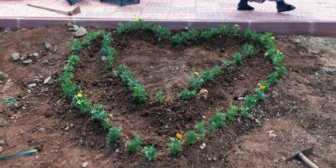 Çiçekleri Koparmayın Uyarısı