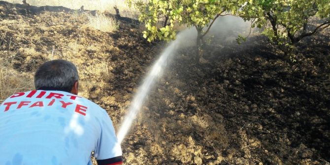 Siirt’te Yangın Fıstık Ağaçlarına Sıçramadan Söndürüldü