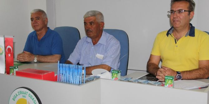 Biga’da Domates Hasat Şenliği Düzenlenecek