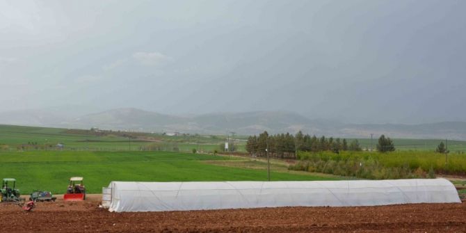 Adıyaman Üniversitesi Organik Üründe Çıtayı Yükseltiyor