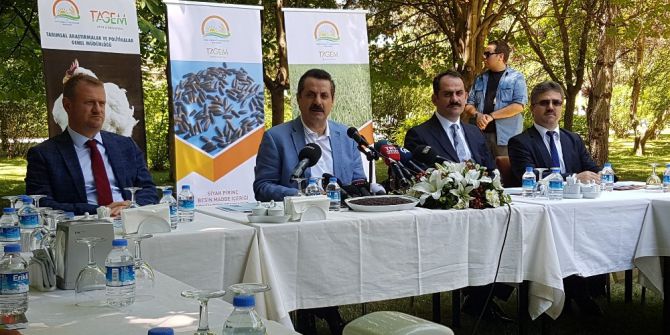 Bu Yıl Kurban Bayramı’nda Dişi Hayvan Kesilmeyecek