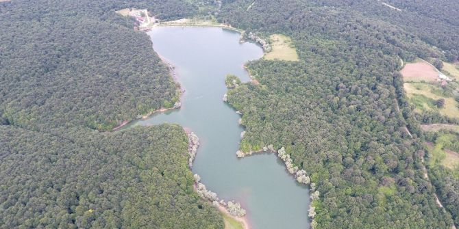 Sinop Göletlerine 35 Bin Sazan Balığı Yavrusu Bırakıldı
