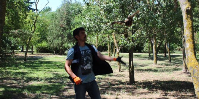 Kanadı Kırılan Alaca Baykuş Tedavi Edildi