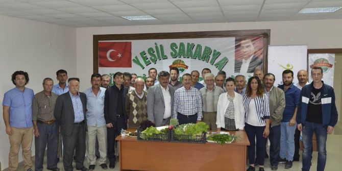 Her Yer Kavrulurken Onlar Güvende