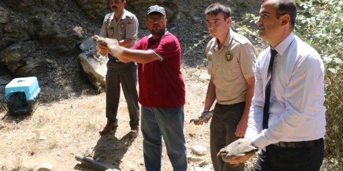 Manisa’da 4 Bin Keklik Doğayla Buluştu